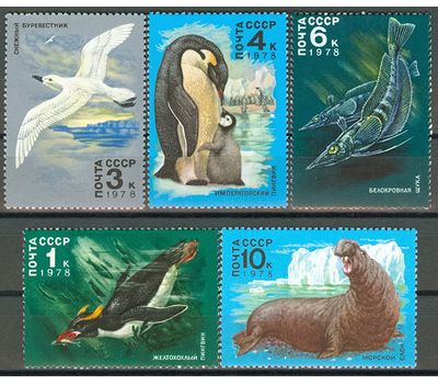  5 почтовых марок «Животный мир Антарктики» СССР 1978, фото 1 