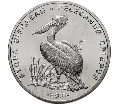  Монета 50 тенге 2010 «Кудрявый пеликан» Казахстан, фото 1 