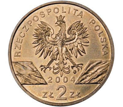  Монета 2 злотых 2004 «Морская свинья (Phocoena phocoena)» Польша, фото 2 