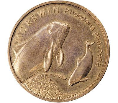  Монета 2 злотых 2004 «Морская свинья (Phocoena phocoena)» Польша, фото 1 