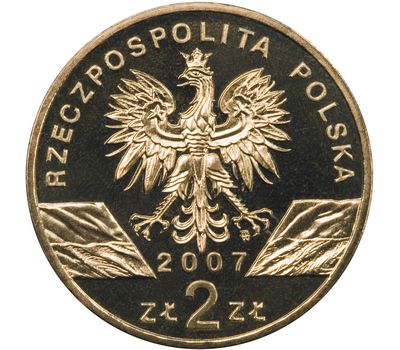  Монета 2 злотых 2007 «Длинномордый тюлень (Halichoerus grypus)» Польша, фото 2 