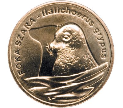  Монета 2 злотых 2007 «Длинномордый тюлень (Halichoerus grypus)» Польша, фото 1 