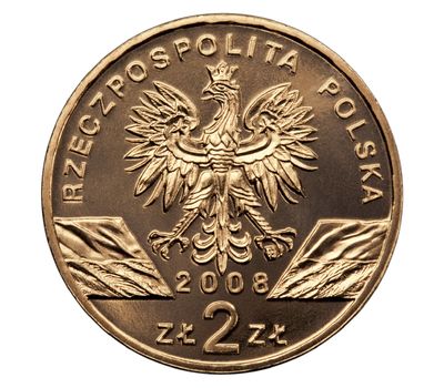  Монета 2 злотых 2008 «Сапсан (Falco peregrinus)» Польша, фото 2 