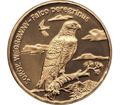  Монета 2 злотых 2008 «Сапсан (Falco peregrinus)» Польша, фото 1 