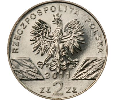 Монета 2 злотых 2011 «Барсук (Meles meles)» Польша, фото 2 