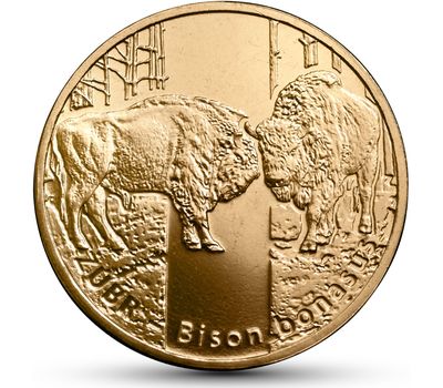  Монета 2 злотых 2013 «Зубр (Bison bonasus)» Польша, фото 1 