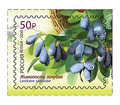  4 почтовые марки «Флора России. Ягоды» 2020, фото 3 