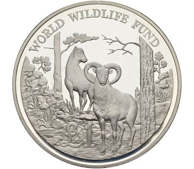  Монета 1 фунт 1986 «25 лет Всемирному фонду дикой природы» Кипр, фото 1 