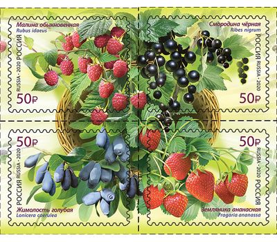  4 почтовые марки «Флора России. Ягоды» 2020, фото 1 