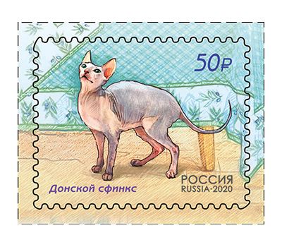  4 почтовые марки «Фауна России. Кошки» 2020, фото 4 