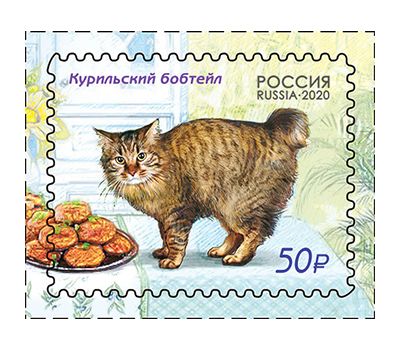  4 почтовые марки «Фауна России. Кошки» 2020, фото 5 