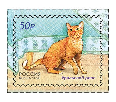  4 почтовые марки «Фауна России. Кошки» 2020, фото 2 