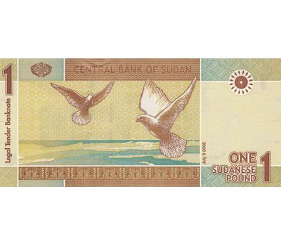  Банкнота 1 фунт 2006 Судан Пресс, фото 1 