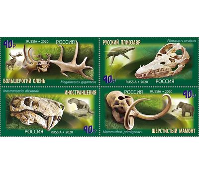  4 почтовые марки «Палеонтологическое наследие России» 2020, фото 1 