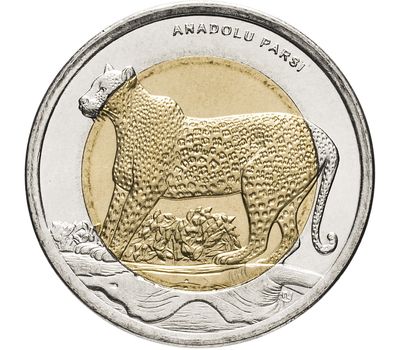  Монета 1 лира 2012 «Леопард переднеазиатский (Красная книга)» Турция, фото 1 