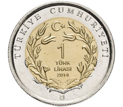  Монета 1 лира 2014 «Лошадь Байерли Тюрк (Фауна)» Турция, фото 2 