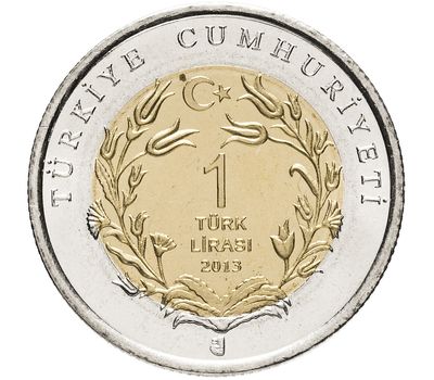  Монета 1 лира 2013 «Белобрюхий тюлень-монах (Красная книга)» Турция, фото 2 