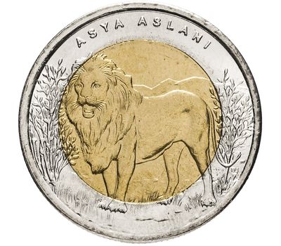  Монета 1 лира 2011 «Лев (Красная книга)» Турция, фото 1 