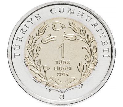  Монета 1 лира 2014 «Ушастый Ёж (Фауна)» Турция, фото 2 