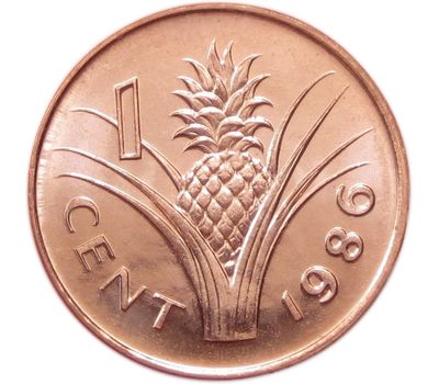 Монета 1 цент 1986 Свазиленд, фото 1 
