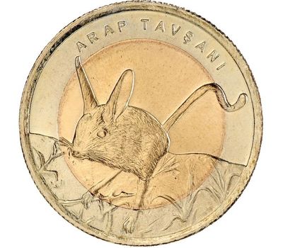  Монета 1 лира 2016 «Тушканчик (Фауна)» Турция, фото 1 