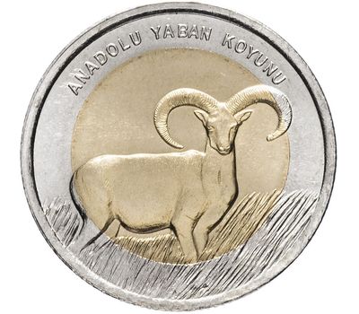  Монета 1 лира 2015 «Анатолийский баран-муфлон (Фауна)» Турция, фото 1 