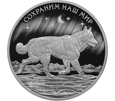  Серебряная монета 3 рубля 2020 «Полярный волк. Сохраним наш мир», фото 1 