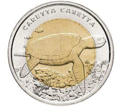  Монета 1 лира 2009 «Морская черепаха (Красная книга)» Турция, фото 1 