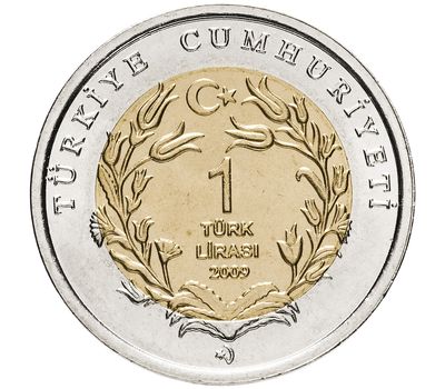  Монета 1 лира 2009 «Морская черепаха (Красная книга)» Турция, фото 2 