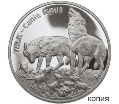  Монета 20 злотых 1999 «Волки» Польша (копия), фото 1 