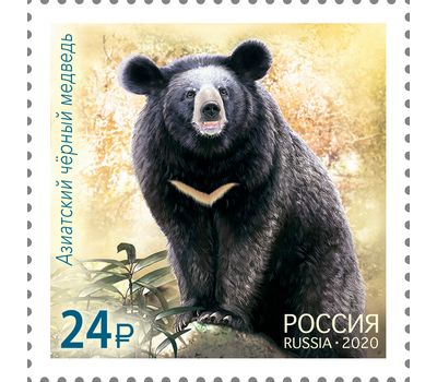  2 марки «Совместный выпуск. Фауна» Россия, Корея 2020, фото 2 