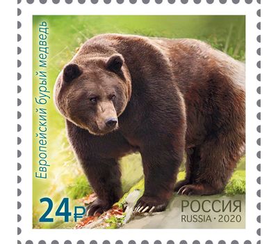  2 марки «Совместный выпуск. Фауна» Россия, Корея 2020, фото 3 