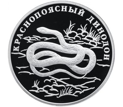 Серебряная монета 1 рубль 2007 «Краснопоясный динодон», фото 1 