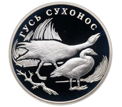  Серебряная монета 1 рубль 2006 «Гусь сухонос», фото 1 