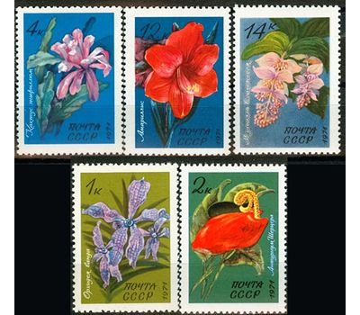  Почтовые марки «Тропические и субтропические растения» СССР 1971, фото 1 