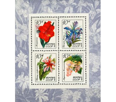  Почтовый блок «Тропические и субтропические растения» СССР 1971, фото 1 
