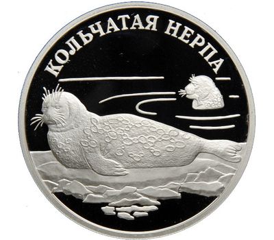  Серебряная монета 1 рубль 2007 «Кольчатая нерпа (ладожский подвид)», фото 1 