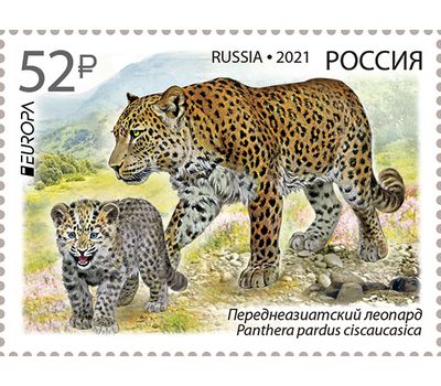  Почтовая марка «Выпуск по программе «Европа». Переднеазиатский леопард» 2021, фото 1 