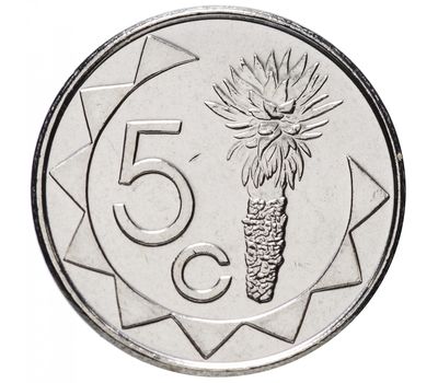  Монета 5 центов 2015 «Пальма» Намибия, фото 1 