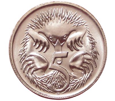  Монета 5 центов 1999 «Ехидна» Австралия, фото 1 