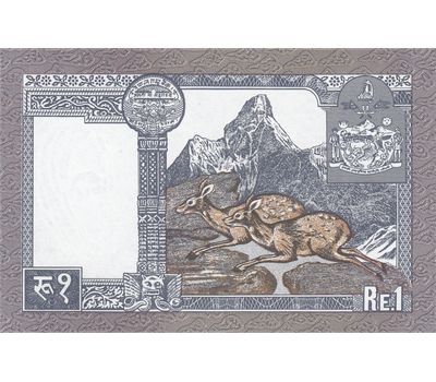  Банкнота 1 рупия 1991 Непал Пресс, фото 2 