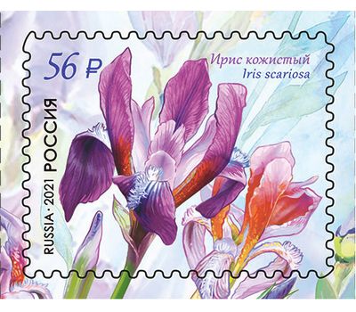  4 почтовые марки «Флора России. Цветы. Ирисы» 2021, фото 2 