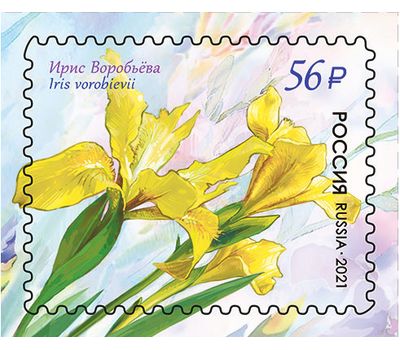  4 почтовые марки «Флора России. Цветы. Ирисы» 2021, фото 3 