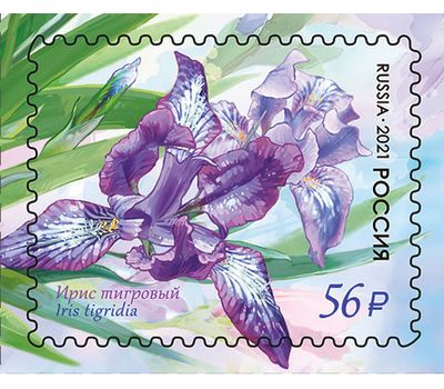  4 почтовые марки «Флора России. Цветы. Ирисы» 2021, фото 5 