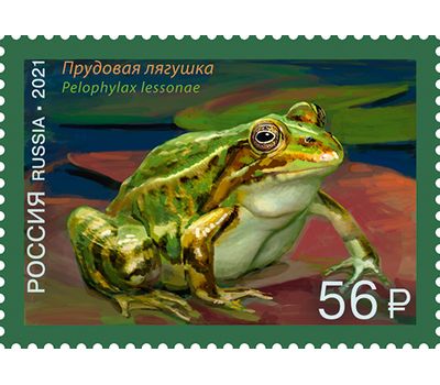  4 почтовые марки «Фауна России. Лягушки» 2021, фото 5 