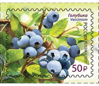  4 почтовые марки «Флора России. Ягоды» 2021, фото 2 