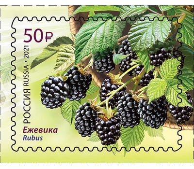  4 почтовые марки «Флора России. Ягоды» 2021, фото 3 