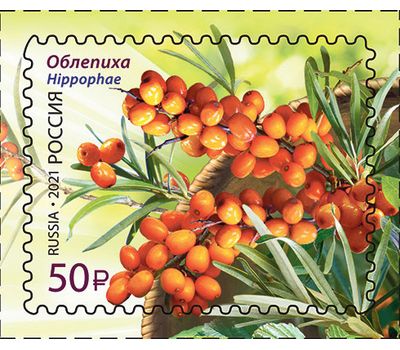  4 почтовые марки «Флора России. Ягоды» 2021, фото 4 