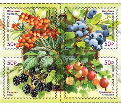  4 почтовые марки «Флора России. Ягоды» 2021, фото 1 