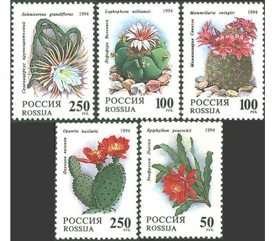  5 почтовых марок «Комнатные растения. Кактусы» 1994, фото 1 